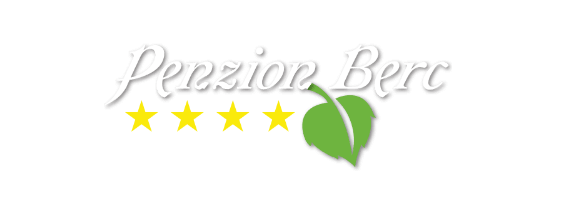 logo pension berc